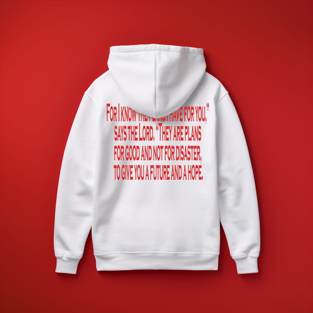 Jeremiah 29:11 Hoodie